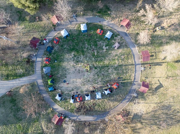 Explore the best of british waters: the definitive guide to choosing a uk cruise with stops at famous historic universities